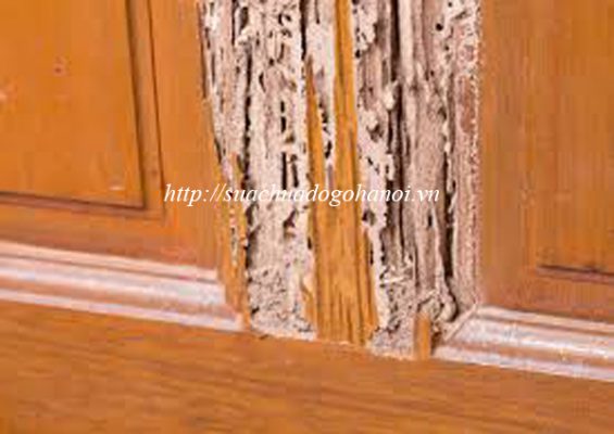 thợ mộc sửa chữa đồ gỗ bị mối mọt tại hà nội thợ mộc sửa chữa đồ gỗ bị mối mọt tại hà nội