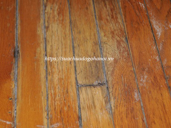 sàn gỗ mục nát
